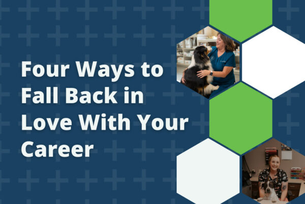 Four Ways to Fall Back in Love With Your Career