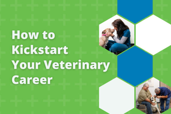 How to Kickstart Your Veterinary Career
