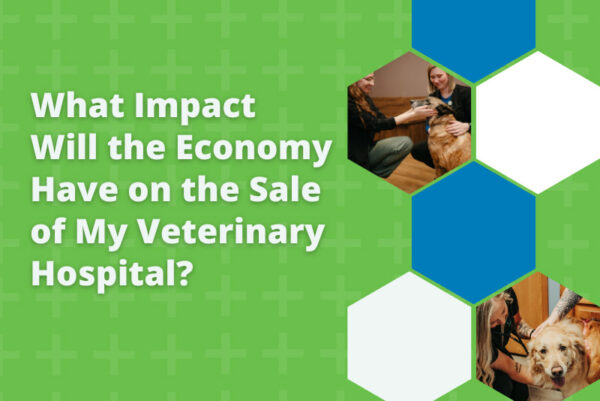 What Impact Will the Economy Have on the Sale of My Veterinary Hospital?