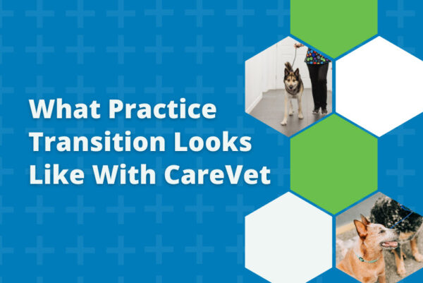 What Practice Transition Looks Like With CareVet