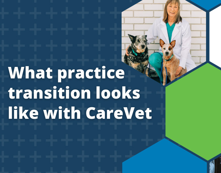 What practice transition looks like with CareVet